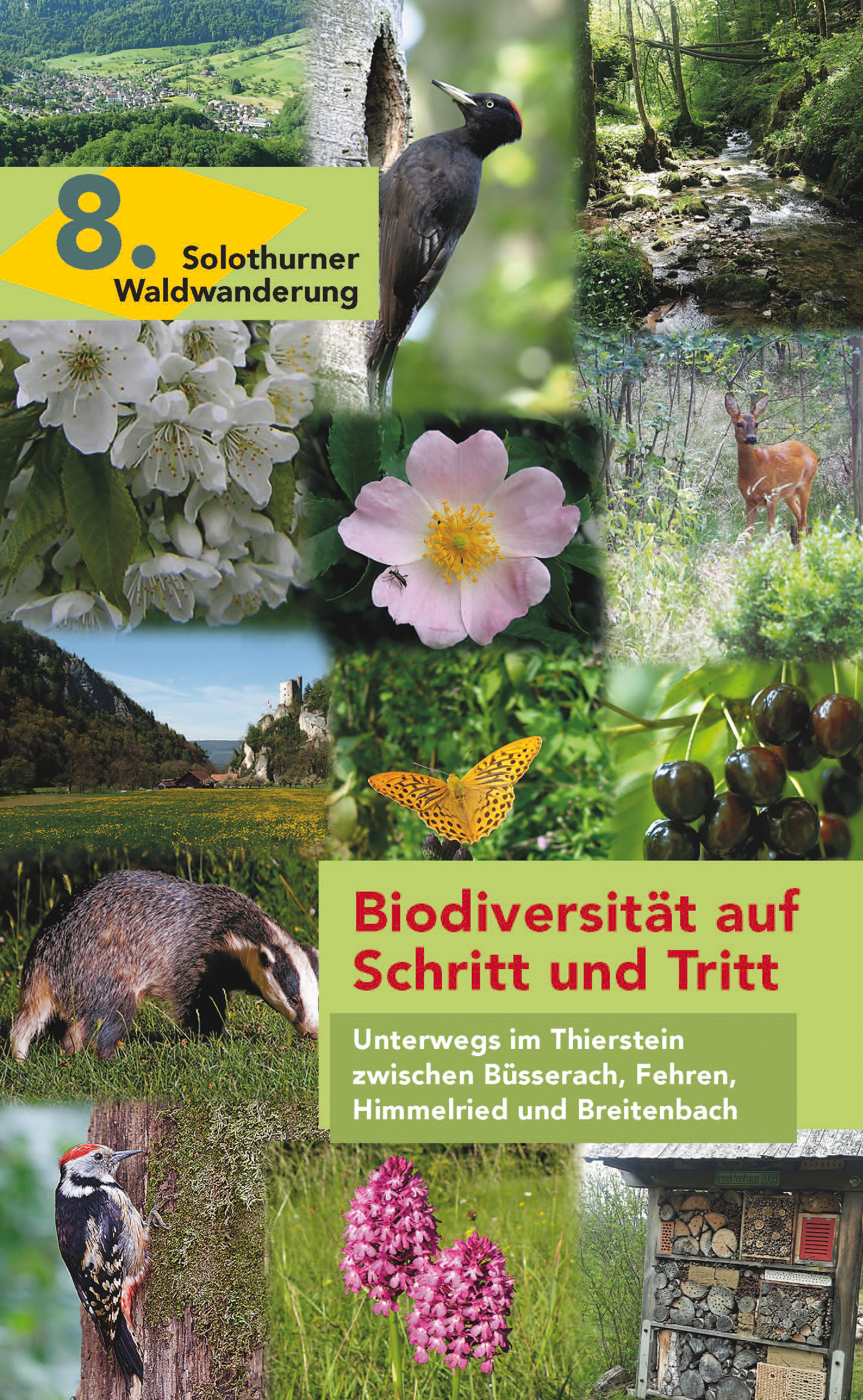 8. Biodiversität auf Schritt und Tritt