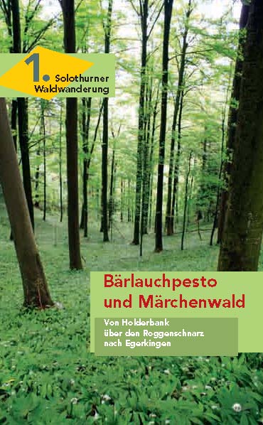 1. Bärlauchpesto und Märchenwald
