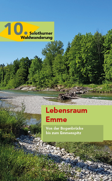 10. Lebensraum Emme